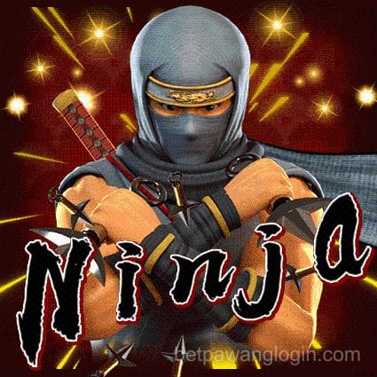 Ninja